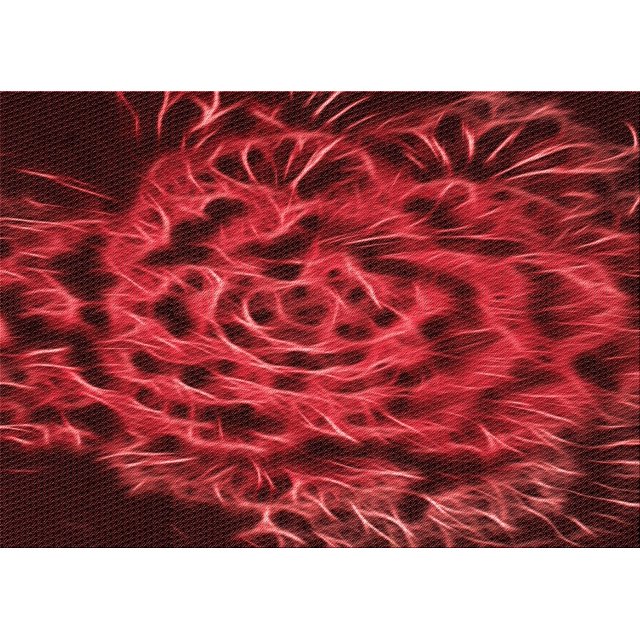 Ahgly Company Tapis Rectangulaire Lavable en Machine Intérieur Transitionnel Rouge Tomate, 2 Pieds x 4 Pieds
