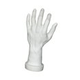 thumbnail image 4 of Bunblic Hand Model Jokes Toy Lifelike,Photo Props,Fake Hand Mannequin Hand for Cosplay Decoration Jewelry Display Party Nail Training White, 4 of 8
