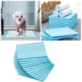 thumbnail image 1 of Tapis d'Entraînement pour Chiots Super Absorbants, Étanches, Solution de Propreté Jetable pour Chiens et Petits, 1 of 5