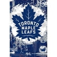 thumbnail image 1 of NHL Toronto Maple Leafs - Maximalist Logo 23 Wall Poster, 22.375" x 34", 1 of 4