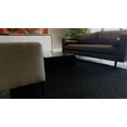 thumbnail image 1 of Trylawnturf Herbe Colorée - 6.6-FTX10-FT - Noir Fou, 1 of 5