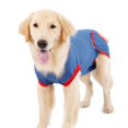 thumbnail image 4 of GROWTH TANK Pet Surgery Clothes Bodysuit Wound Protective After Surgery Wear Dog Recovery M, 4 of 9