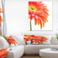 thumbnail image 1 of Gerbera Orange sur Fond Blanc - Impression sur Toile Florale, 1 of 3