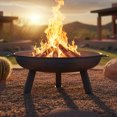 thumbnail image 3 of Sunnydaze Outdoor Camping or Backyard Large Round Cast Iron Rustic Fire Pit Bowl - 30" - Steel Finish, 3 of 10