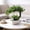 A, variant on Roiihwy Green Artificial Bonsai Tree, Faux plants Indoor with Flower, Fake Tree for Living Room Bathroom Bookshelf Entryway Table Wall Shelf Modern Farmhouse Decor