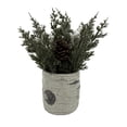 thumbnail image 1 of Holiday Time Wow 10in Green Pinecone Potted Tree, 1 of 5