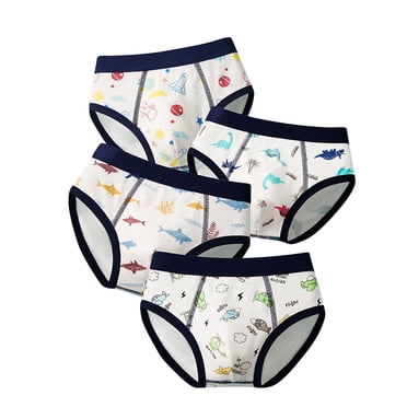 Zwiiyzr Lot de 4 sous-Vêtements pour Garçons et Tout-Petits Culottes en Coton Dessin Animé Dinosaure sous-Vêtements pour Tout-Petits Enfants 3-9 Ans Blanc
