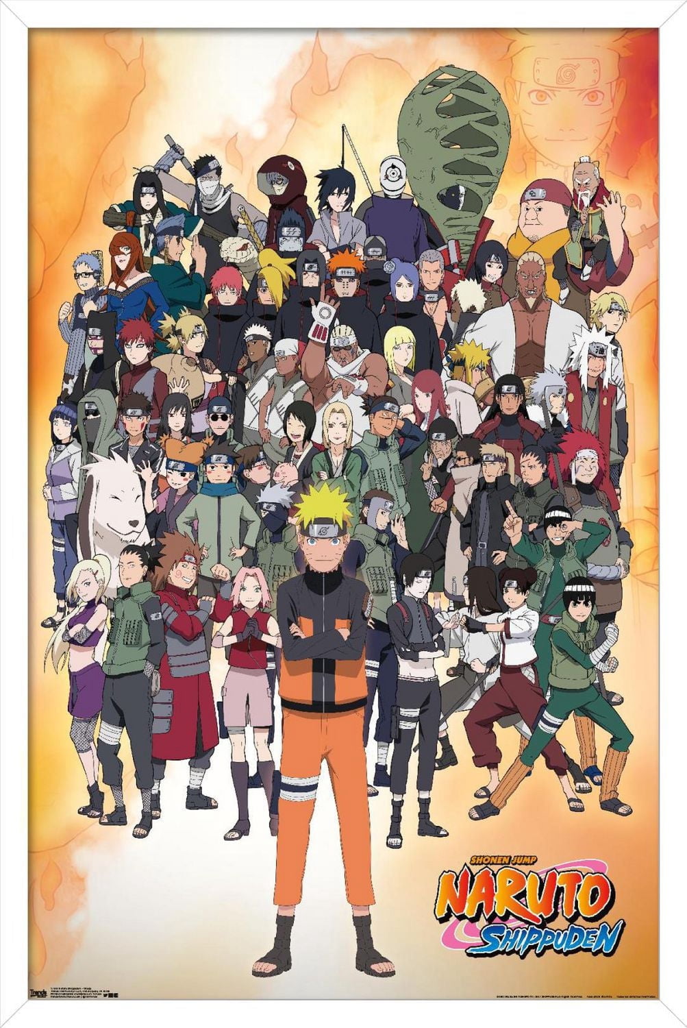 Naruto Shippuden - Groupe