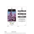 thumbnail image 4 of Lilas japonais Miss Kim 2 gal arbuste, 4 of 5