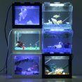thumbnail image 4 of Mini Kit d'Aquarium Design Casse-Tête Mignon Boîte d'Élevage de Poissons Mini Aquarium avec Lumière, 4 of 10
