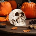 thumbnail image 4 of Todaioua Resin Skull, Human Head Model for Home Decoration, Halloween Statue, Skull Model for Bookshelf and Desktop, 4 of 7