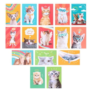 American Greetings 15-Count Blank Cards and Envelopes Assortment Box, Funny Cats