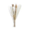 thumbnail image 2 of DOLITY 30Pcs Natural Dried Pampas Grass Bunch Bouquet Phragmites Reed Flower Decoration B, 2 of 6