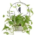 thumbnail image 4 of Plants Climbing Holder Rack Potted Flower Decorative Rack Sturdy Durable Plant Support Black 30cm, 4 of 9