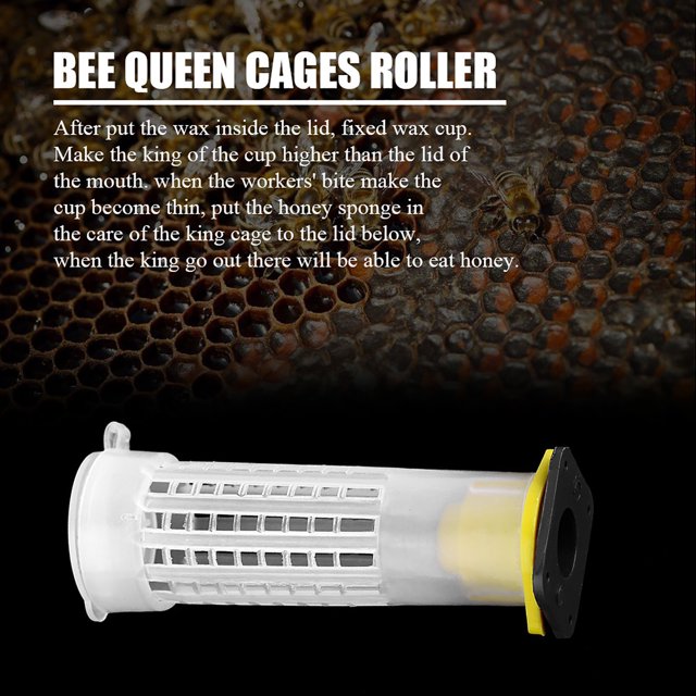Beekeeping Rearing Cup Bee Queen Cages Beekeeper Tool Equipment 100PCS Beekeeping Rearing Cup Kit Bee Queen Cages Roller Beekeeper Tool Equipment
