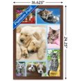 thumbnail image 2 of Keith Kimberlin - Collage de chiots et de chatons, 2 of 4