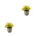 thumbnail image 2 of Decodeary Green Eco-friendly Artificial Money Tree In Pot Long-lasting Durability Realistic Appearance orange rose 2Set, 2 of 6