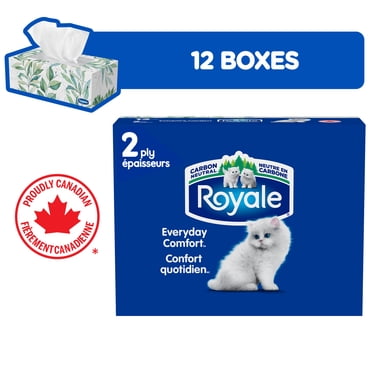 Royale Everyday Comfort, 2 Ply Facial Tissue, 12 Flat Boxes, 126 Tissues per Box