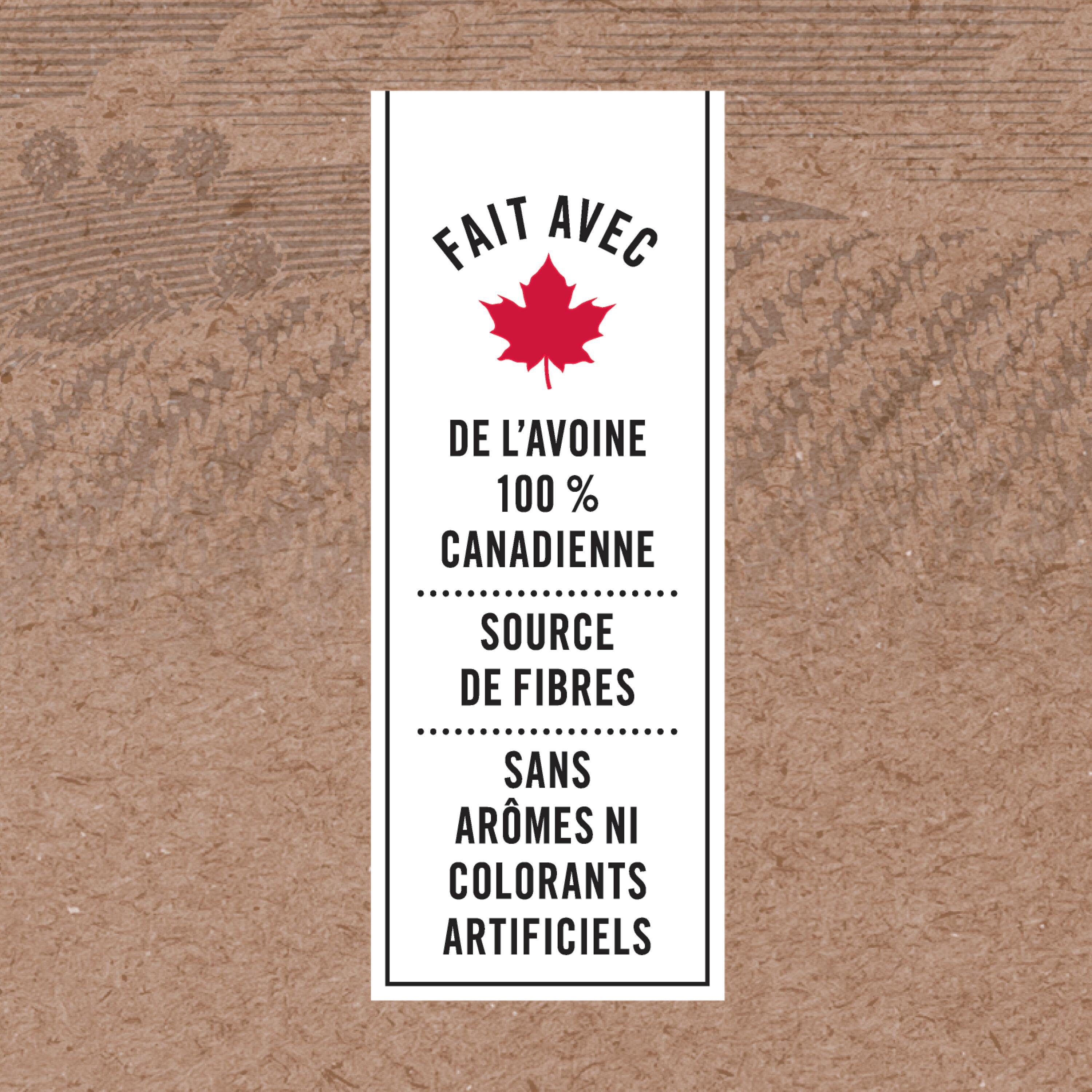 Quaker Gruau Instantané Assortiment de Saveurs
