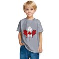 thumbnail image 4 of T-shirt Doux à Manches Courtes Décontracté pour Tout-Petit HVOBBTY, T-shirt Mode à Col Rond à Manches Courtes Gris pour Garçons Tout-Petits avec Imprimé de Feuilles d'Érable, 7 Ans, 4 of 5