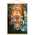 thumbnail image 1 of Tiger - Water Wall Poster, 22.375" x 34" Framed, 1 of 4