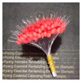 thumbnail image 1 of 300pcs Rubber Fishing Bobber Stopper 4 Sizes Float Sinker Stopper Fishing Tackle Accessories, 1 of 7