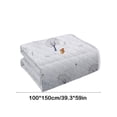 thumbnail image 3 of Generic D Temperature Balancing Summer Bedspread Thin Quilted Polyester Fill 150X100x3cm, 3 of 7