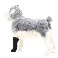 thumbnail image 2 of Labymos 2Pcs Dog Knee Pads Provide Support Relieve Pain During Injury Stop Licking Leg Wounds, 2 of 8