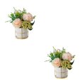 thumbnail image 2 of kurtrusly Artificial Flowers With Vase Add Of Color And Style To Any Room Indoor Pinellia Champagne 2Set, 2 of 6