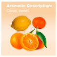 thumbnail image 3 of doTerra Citrus Bliss Essential Oil Blend 15 ml, 3 of 9