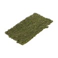 thumbnail image 3 of HILABEE Touffe d'Herbe Statique 3 mm Grappe d'Herbe Modèle pour Chemin de Fer Architectural Chemin de Fer Type C, 3 of 9
