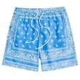 thumbnail image 1 of Men's Boho Drawstring Waist Paisley Print Summer Beach Swim Board Shorts with Comfortable Elastic Fabric for Surfing, 1 of 2