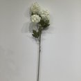 thumbnail image 1 of Snowball Spray, 1 of 3