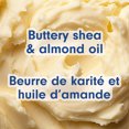 thumbnail image 3 of Softsoap Moisturizing Body Wash, All Skin Types, Shea and Almond Oil, 20 fl oz Bottle, 3 of 9