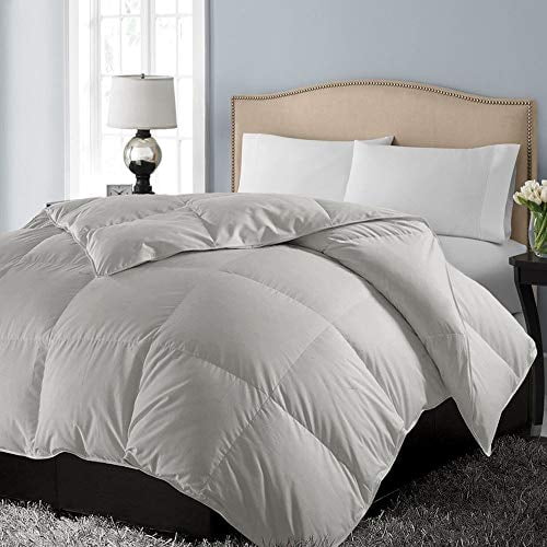 Blue Ridge Home Fashion 1000 Thread Count PIMA Cotton Down Alternative Twin in Grey Color Down Down Comforter,