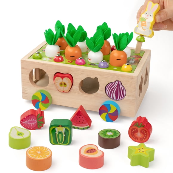 Coogam Montessori Fine Motor Toys for Baby Toddler, Wooden Shape Sorter Carrot Harvest Game, Preschool Learning Educational Gift Toy for 2 3 4 Year Old