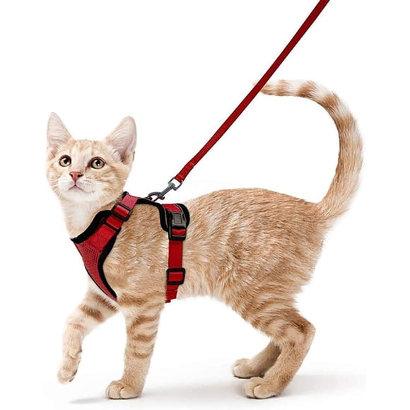 EastVita Cat Harness Lightweight Breathable Adjustable Escape Proof Chest Strap With Quick Release Buckle Pet Supplies