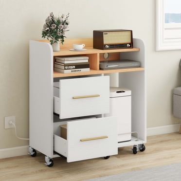 DEXTRUS Armoire de Bureau Roulante avec Station de Recharge, Support d'Imprimante avec Tablette pour Déchiqueteuse, Classeur à 2 Tiroirs pour Bureau à Domicile, Blanc
