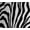 Zebra, variant on ComfyKids® Bean Bag Chair for Teens