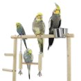 thumbnail image 2 of Tall Parrot Bird Play Shelf Playground with Swinging Ladder, 2 of 5