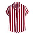 thumbnail image 4 of Birdeem Chemises pour Hommes Hommes Décontracté Mode Imprimé Col Rabattu Manches Longues Chemise Respirante Blouse Hauts Manches Courtes Col Rabattu Blouse Chemise, 4 of 9