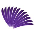 thumbnail image 4 of ZheElen 12pcs 3inch Archery Turkey Feathers Fletchings Vanes Purple 3 Inch 5Set, 4 of 6