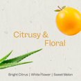 thumbnail image 3 of Renpure Marula Oil & Aloe Ultra Smoothing Conditioner, 3 of 6