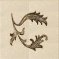 thumbnail image 1 of Ahgly Company Tapis d'Intérieur Lavable en Machine Carré Transitionnel Pérun Brun, 4 Pieds Carré, 1 of 7