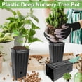 thumbnail image 4 of 20Pcs Tall Tree Pot Plastic Deep Nursery Treepot 7.8inch Tall Seedling Flower Plant Container, 4 of 8