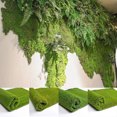 thumbnail image 1 of Flmtop Fake Grass Foldable Beautiful Natural Artificial Moss Grass for Living Room, 1 of 1