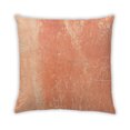 thumbnail image 2 of Ahgly Company Coussin Décoratif d'Extérieur à Textures Abstraites, 18 Po X 18 Po, 2 of 6