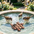 thumbnail image 5 of Bird Pool Cleaner Copper Disc；Bird Pool Cleaner Copper Disc；Bird Pool Cleaner Copper Disc, 5 of 5