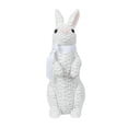 thumbnail image 1 of Resin Rabbit Decorations European Garden Style Standing Design for Easter and Home, 1 of 6