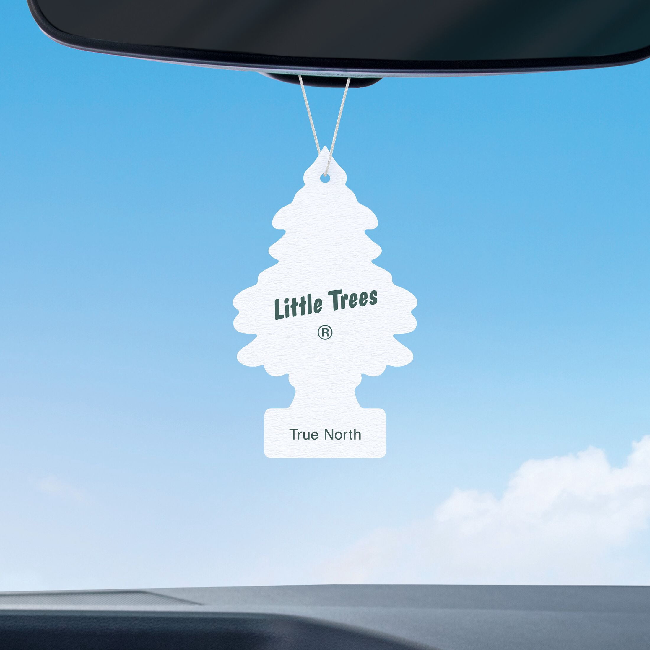 LITTLE TREES air freshener True North 6-Pack